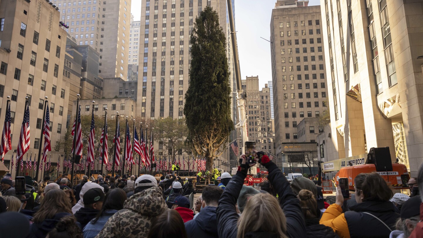 New rockefeller tree hotsell